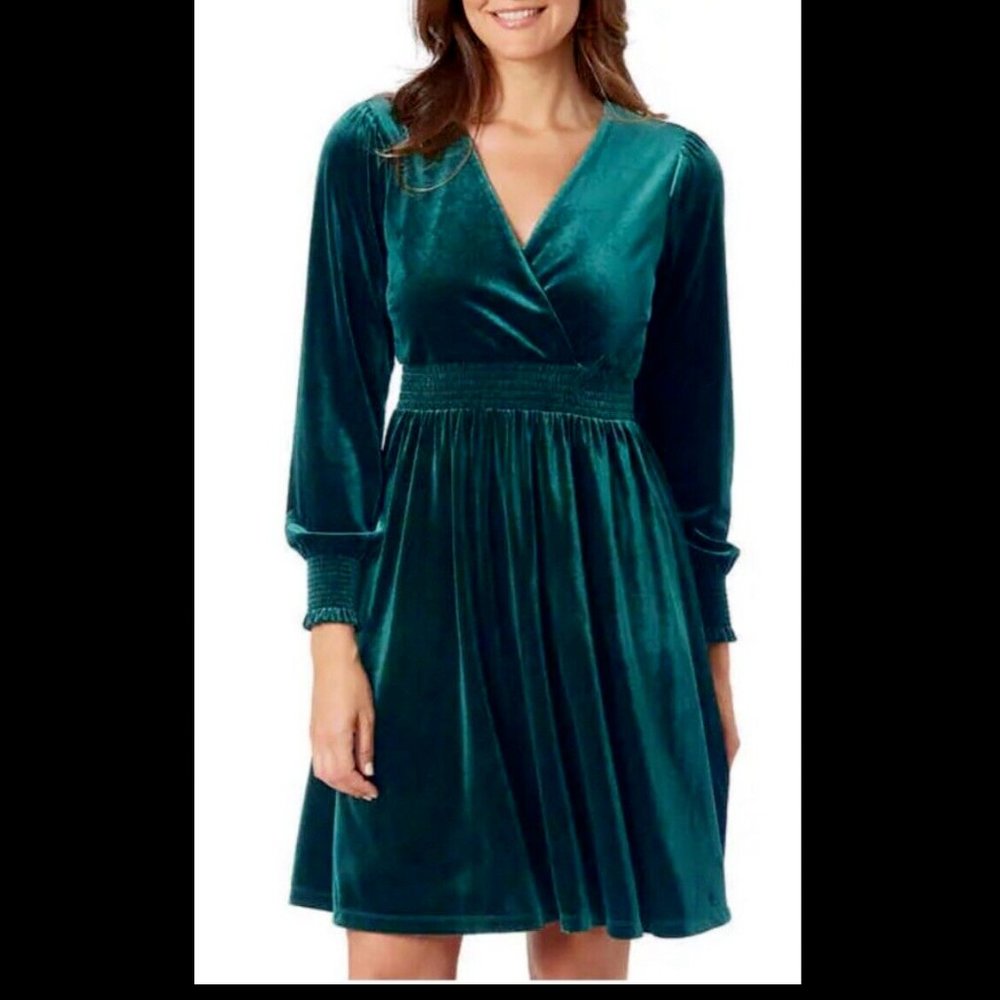 NWT Briggs New York Women's Long Sleeve Velvet Dress Green Size XL $80 8D128